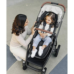 Коляска 2 в 1 UPPAbaby "Виста В3 Грейсон"